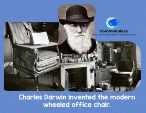 #Darwin #Evolution #Inventions #chairs #officechairs #funfacts