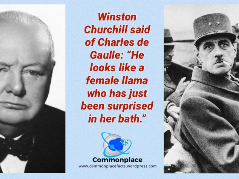 #Churchill #DeGaulle #llamas #insults #quotes