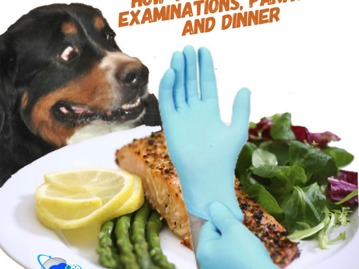How to Combine Fecal Examinations, Parasites, and Dinner