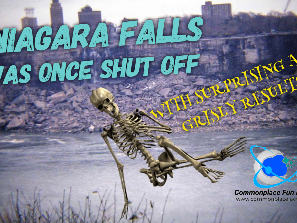 Niagara Falls Was Once Shut Off, With Surprising and Grisly Results