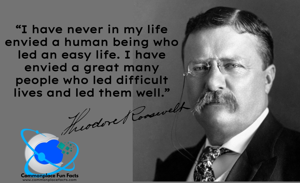 “I have never in my life envied a human being who led an easy life. I have envied a great many people who led difficult lives and led them well.” Theodore Roosevelt