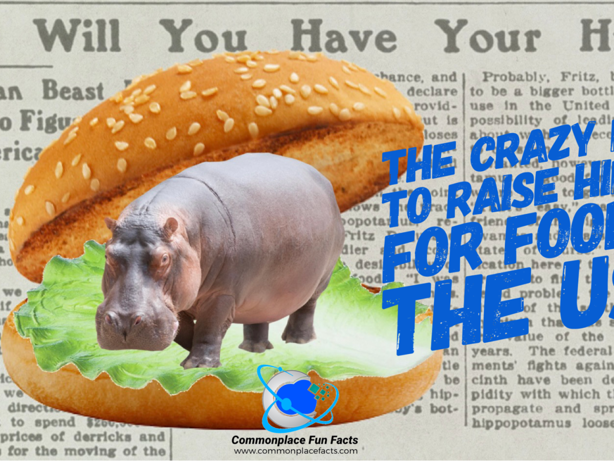 The Crazy Plan to Raise Hippos for Food in the USA