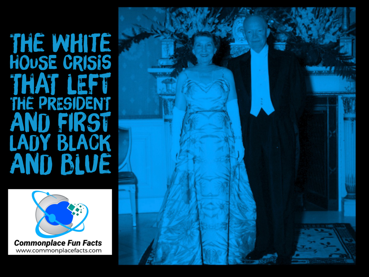 The White House Crisis that Left the President and First Lady Black and Blue