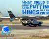 #airplanes #aviation #FordPinto #Automobiles #cars #BadIdeas #flyingcars