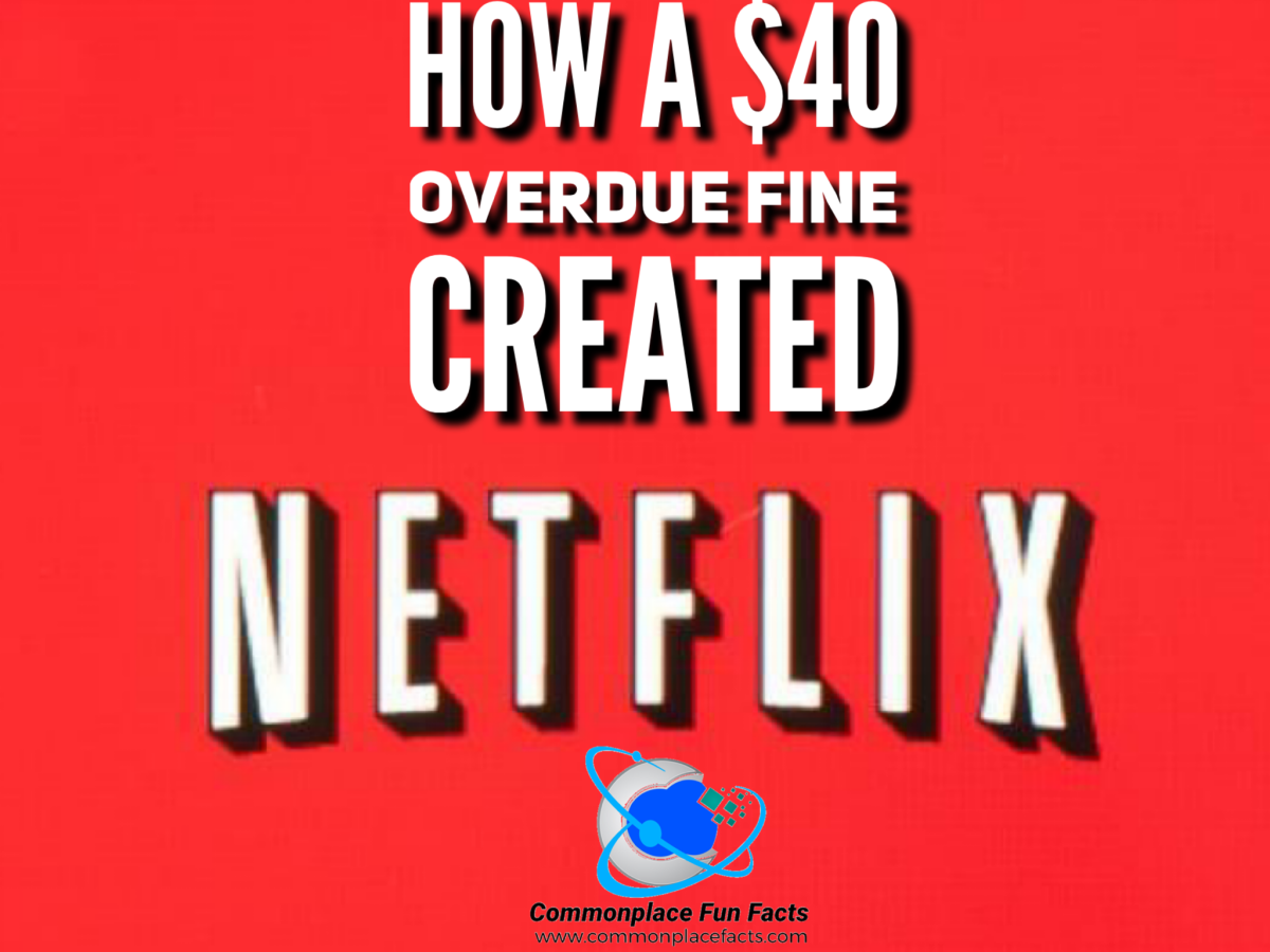 #Netflix #fines #blockbuster #movies #rentals #entrepreneurs