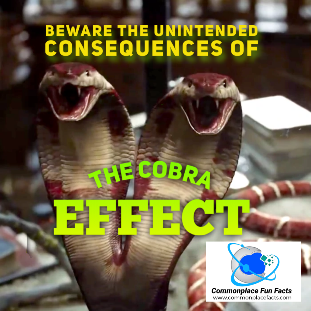 Beware Of The Cobra Effect In Business