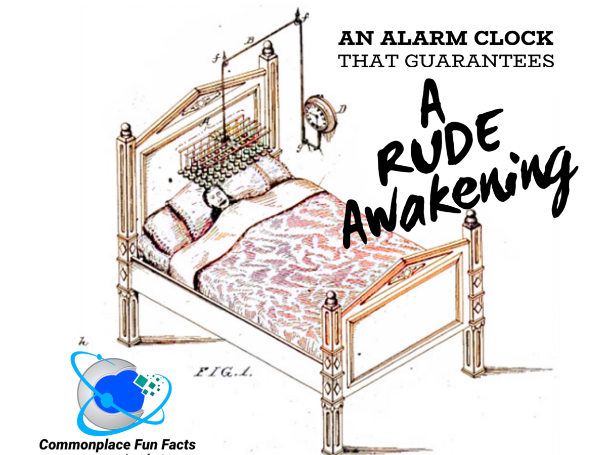 An Alarm Clock That Guarantees a Rude Awakening