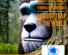 #Bigfoot #Sasquatch #Cryptids