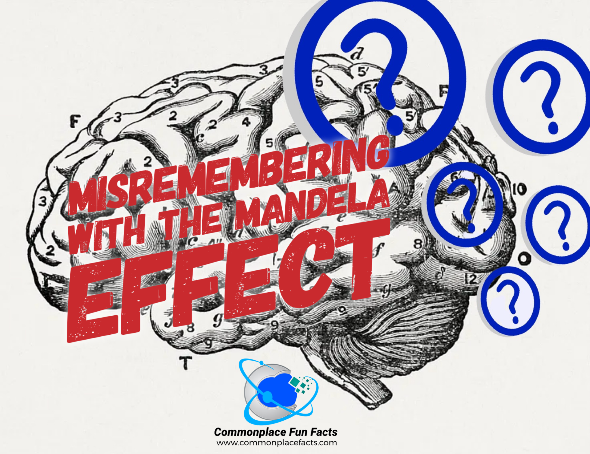 I TOLD YOU ALL THAT FRUIT OF THE LOOM HAD A CORNUCOPIA, MANDELA EFFECT IS  FALSE! : r/funny